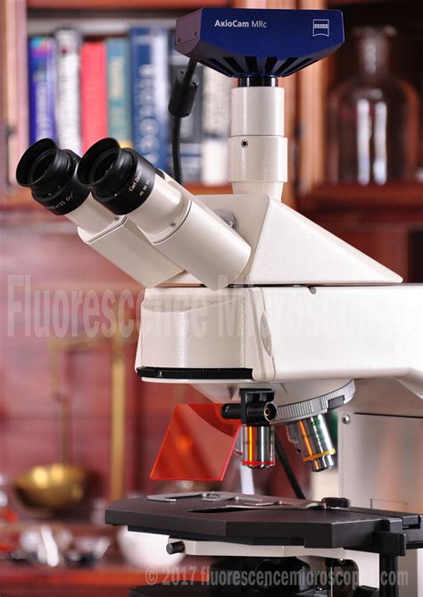 Fluorescence Microscopes Zeiss Axioskop 2 Upright Fluorescence