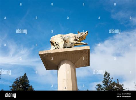 Uc berkeley bear statue hi-res stock photography and images - Alamy