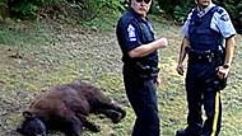 Coquitlam Woman Recovering From Bear Attack British Columbia Cbc News