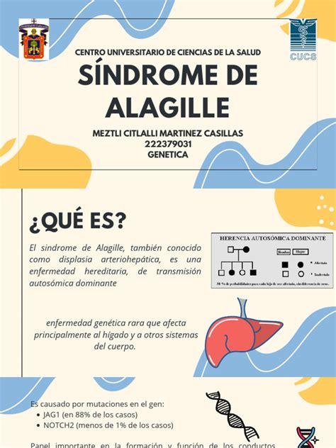 Síndrome De Alagille Descargar Gratis Pdf Bilis Medicina Clinica