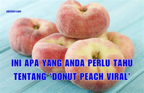 Ini Apa Yang Anda Perlu Tahu Tentang Donut Peach Viral Jobstore