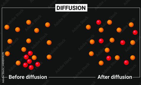 Diffusion Particle Model Of Diffusion Stock Vector Adobe Stock