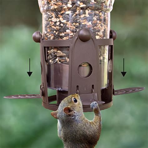 Perky Pet Squirrel Be Gone Ii Green Country Style Squirrel Proof Bird
