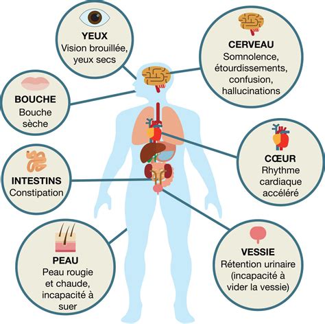 SNA Anticholinergiques 12 08 2023 Quizizz