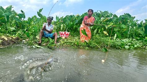 Amazing Fishing Video Village Lady Boy Hook Fishing In Mud Water