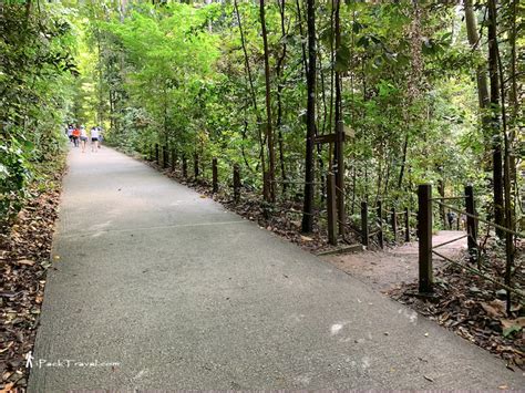 New 10km Hike Bukit Timah Nature Reserve