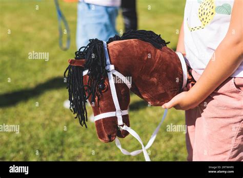 Hobby horsing competition on a green grass, hobby horse riders jumping ...