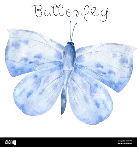 Watercolor Blue Butterfly Isolated On White Background Stock Photo