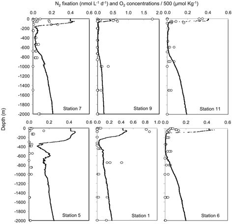 Vertical Profiles 0 2000 M Of N2 Fixation Rates Nmol L−1 D−1 During Download Scientific