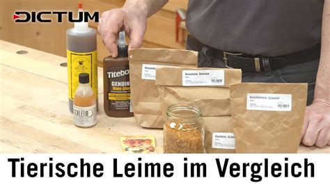 Tierische Leime Knochenleim Hautleim Fischleim flüssige Leime vs