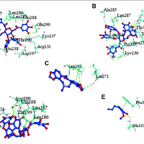 Molecular Docking Interaction Of Target Proteins With Cloves