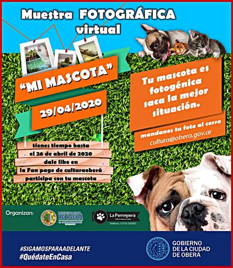 Muestra Virtual De Fotograf As De Mascotas Meridiano