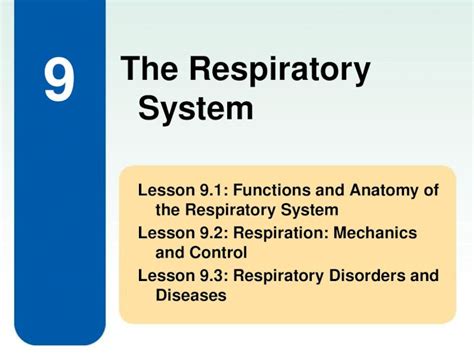 Pptx 9 Lesson 91 Functions And Anatomy Of The Respiratory System Lesson 92 Respiration