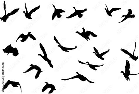 mallard ducks flying silhouettes, collection for designers Stock Vector ...