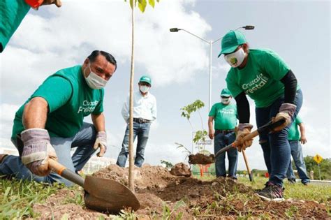 Details Objetivo De Plantar Rboles Abzlocal Mx