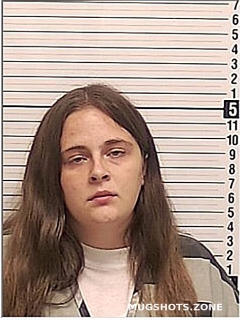 Thinnes Madison Simone Bay County Mugshots Zone