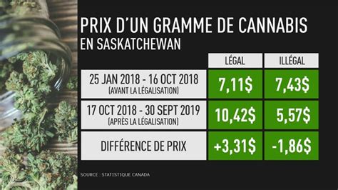 Légalisation Du Cannabis Un An Plus Tard Le Marché Noir Inquiète Encore Radio Canada