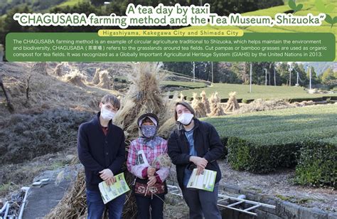 A Tea Day By Taxi CHAGUSABA Farming Method And The Tea Museum