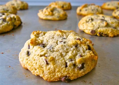 Organic Chocolate Chip Cookies Recipe (Grain Free & Gluten Free ...