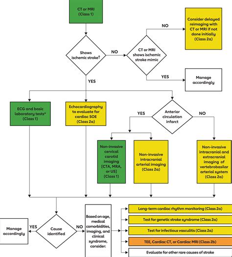 Correction To 2021 Guideline For The Prevention Of Stroke In Patients