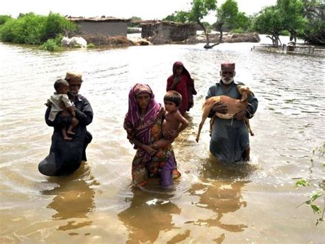 Indus Herald Devastation In Sindh And The Role Of The Media A Journalist S Anguish