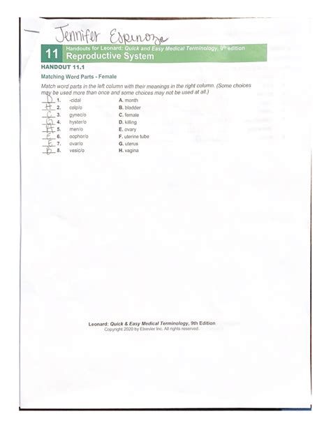 Handouts For Leonard Quick And Easy Medical Terminology 9 Edition