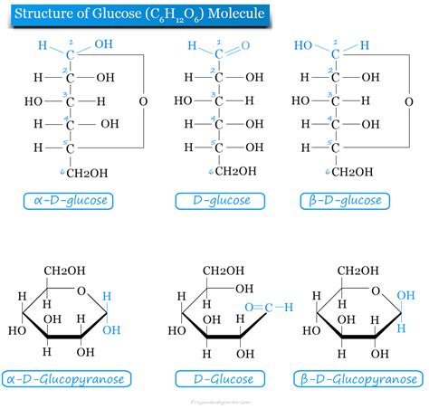 Glucose Molecule Formula Definition Structure Benefits