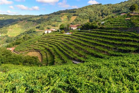 Excursi N A La Ribeira Sacra Desde Lugo Civitatis