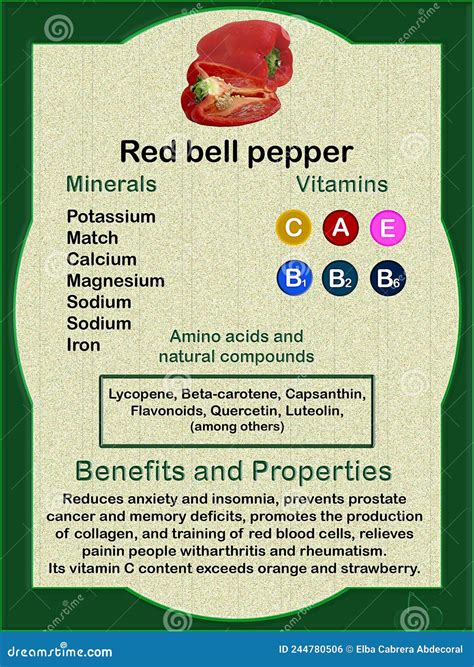 Health Benefits Of Red Bell Pepper Stock Illustration Illustration Of