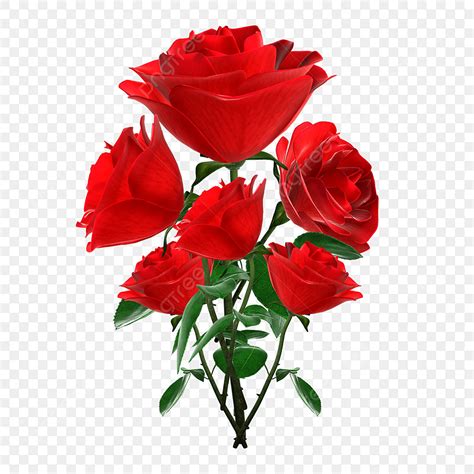 Roses Rouges Pour La Saint Valentin PNG Clipart Rose Rouge Coeur