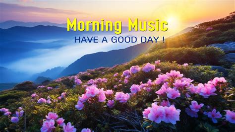 Beautiful Good Morning Music Boost Positive Energy While Waking Up