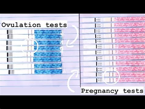 Pregnancy Test Line Progression Vs Ovulation Test Line Progression