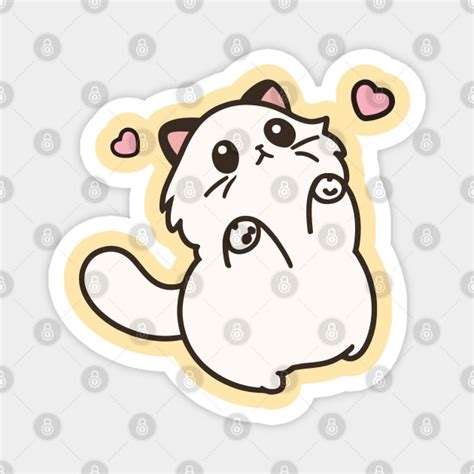 Cute Kawaii Chubby White Persian Cat Kawaii Cat Magnet Teepublic