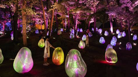 Teamlab To Open Art Filled Botanical Garden In Osaka This Summer