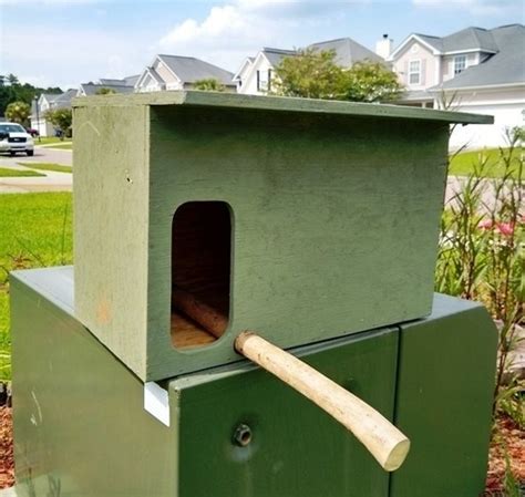 How to build a barn owl box – Builders Villa