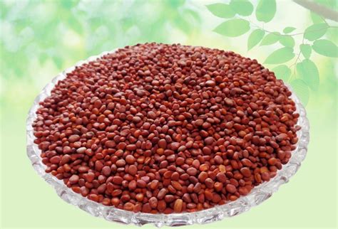 Raphanus Sativus Radish Seeds Edible Mooli Beej Beej Muli Raw Herbs