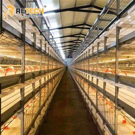 China Zambia Poultry Farming Equipment 3 4 Tiers Battery Cage System