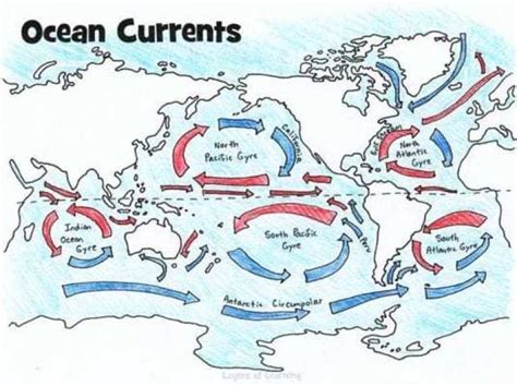 Ocean Floor Ocean In A Bottle And Ocean Lapbook Layers Of Learning