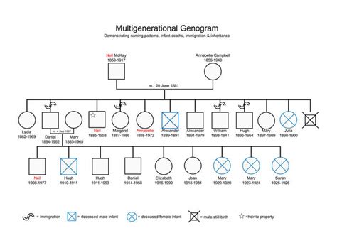Hypertension Genogram 3 Generations Example Laserasse