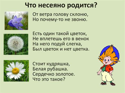 Жизнь луга. Луг - природное сообщество - презентация онлайн