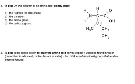 On This Diagram Of An Amino Acid Clearly Label H NH2 C C H OH CH3