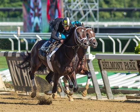 Belmont Winner 2024 Ingrid Steffi
