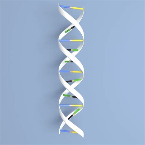 3d Model Dna Double Helix Vr Ar Low Poly Cgtrader