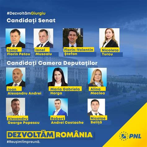 Alegerile Parlamentare Sunt Decisive Pentru Rom Nia Pnl Giurgiu A A