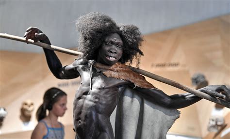 Homo Erectus May Have Been Wiped Out By Climate Change Scientists Say
