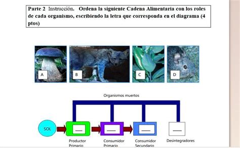 SOLVED podrian ayudarme porfa Parte 2 Instrucción Ordena la siguiente