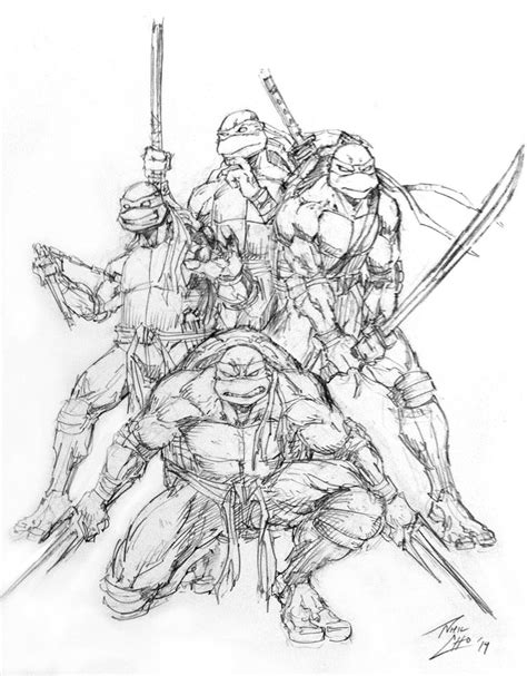 Tmnt Sketch At Explore Collection Of Tmnt Sketch
