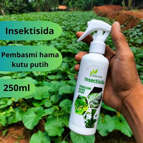 Jual Pembasmi Kutu Putih Super Ampuh Pada Tanaman Obat Hama Ml