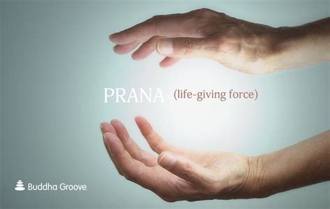 Pranas And Upapranas Balance By Buddhagroove