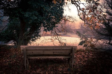 Bench Lonely River Free Photo On Pixabay Pixabay